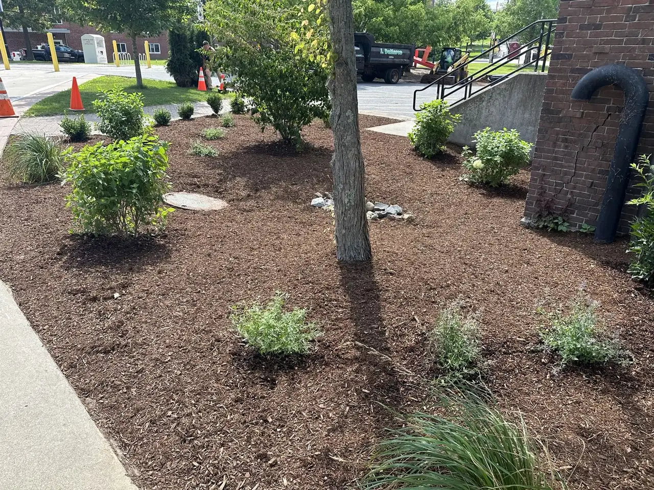 Freshly mulched beds and new plantings our crew finished, with our truck and skid steer behind them