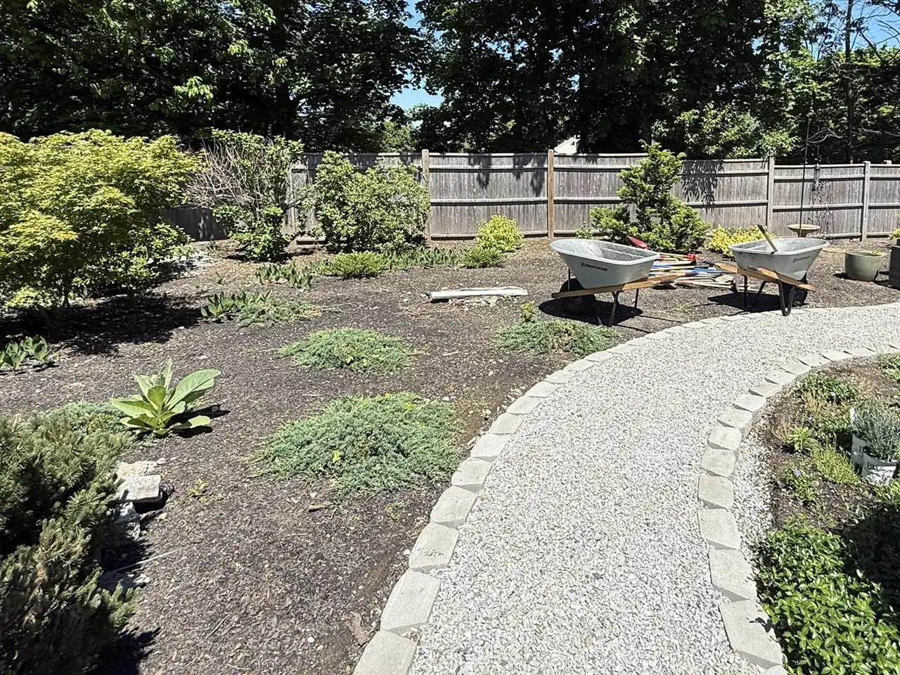 Backyard beds before: bare soil, wheelbarrows and tools